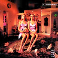 Car - Catherine Wheel