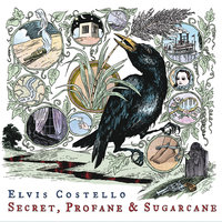 Hidden Shame - Elvis Costello