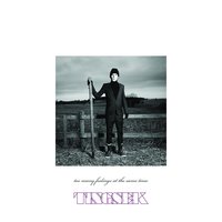 Dreams - Tingsek