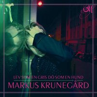 Barn från rödastan - Markus Krunegård