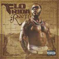 Sugar - Flo Rida, Wynter