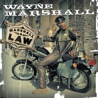 Purple Skunk - Wayne Marshall