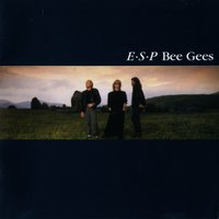 Crazy For Your Love - Bee Gees