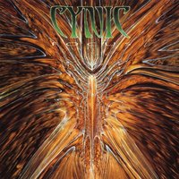 Sentiment - Cynic