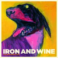 Boy With a Coin - Iron & Wine