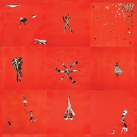 Pumpkin Gets A Snakebite - Animal Collective
