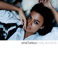 wild is the wind - Amel Larrieux
