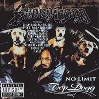 Somethin Bout Yo Bidness (Feat. Raphael Saadiq) - Snoop Dogg, Raphael Saadiq
