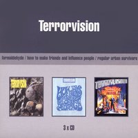 What Makes You Tick - Terrorvision