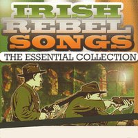 Brennan on the Moor - Burl Ives