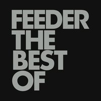 Bees - Feeder