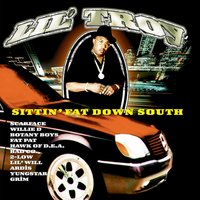 Dem Niggas - Ardis, Lil Troy