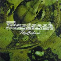 Stinger Citizen - Mustasch