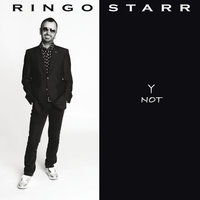 Can't Do It Wrong - Ringo Starr
