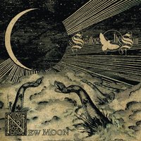 ...and Heavens Cried Blood - Swallow The Sun