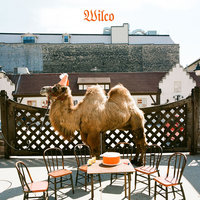 Deeper Down - Wilco