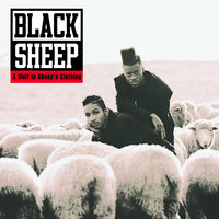 Similak Child - Black Sheep