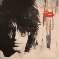 Cathy - The Waterboys