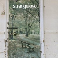 Another Night In - Strangelove