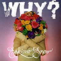January Twenty Something - WHY?