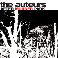 Buddha - The Auteurs