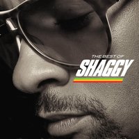 Woman A Pressure Me - Shaggy