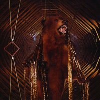 Steam Engine - My Morning Jacket