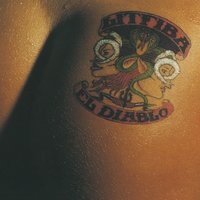 Il volo - Litfiba