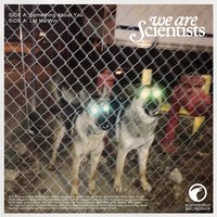 Something About You - We Are Scientists