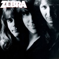 Tell Me What You Want - Zebra