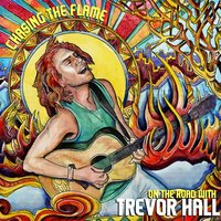 Well I Say... - Trevor Hall