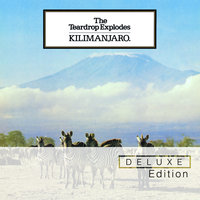 Books - The Teardrop Explodes