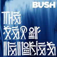 The Afterlife - Bush, Cecile