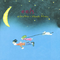 Ant Farm - Eels