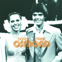 Puppy Love - Donny Osmond