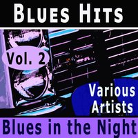Born to Sing the Blues - Shirley Bassey