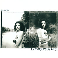 Joy - PJ Harvey