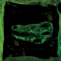Lucky 1 - Avey Tare