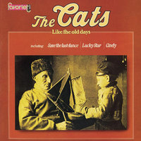 Cindy - The Cats