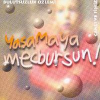 Boyali Kus - Bulutsuzluk Özlemi