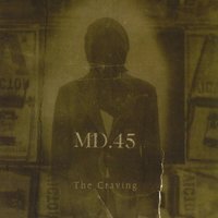 Chutney - MD.45