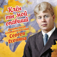 Берёза - Галина Ненашева