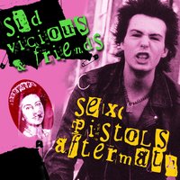 Teenage Kicks - Sid Vicious, Friends, The Vibrators