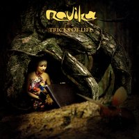 One Day Friend - Novika