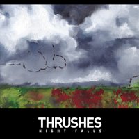Crystals - Thrushes
