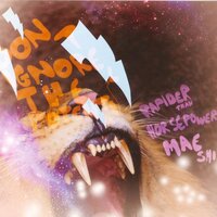 Remarkably Dirty Animals - The Mae Shi