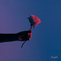 Fragile - Anna Graceman