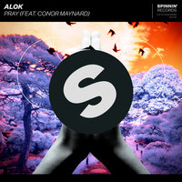 Pray - Alok, Conor Maynard