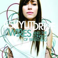 I'm Not A Thief, I'm A Treasure Hunter - A Skylit Drive