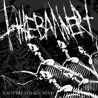Devilhawks - The Banner